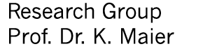 Logo AG Maier